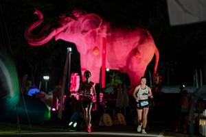 BIB: 
                            <button type="button" onclick="openModal(26530663)" class="btn btn-primary btn-sm float-right btn-popup" data-toggle="modal" data-target=".modal-high-quality">
                        <i class="fas fa-shopping-cart"></i> Add to Cart
                    </button>
                                            <button type="button" onclick="isThisMe(26530663, true)" class="btn btn-success btn-sm float-right btn-popup btn-isme hidden" data-toggle="tooltip" data-placement="bottom" title="นี่คือรูปของคุณใช่ไหม คลิกที่นี่เพื่อเอาเข้าอัลบั้ม">
                        <i class="fas fa-plus"></i> Add to album
                    </button>
                    <button type="button" onclick="isThisMe(26530663, false)" class="btn btn-warning btn-sm float-right btn-popup btn-isnotme hidden">
                        <i class="fas fa-ban"></i> Remove from album
                    </button>